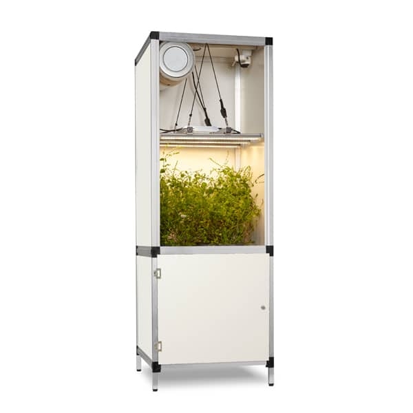G-Tools Bonanza Mini G-Bars LED 170W 61x61x176cm